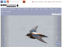 Tablet Screenshot of birdguides.com